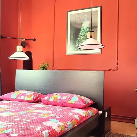 Jolie Guest house